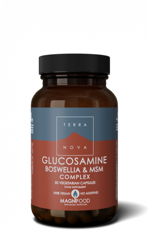 Glucosamine boswellia & MSM complex 50 capsules Terranova