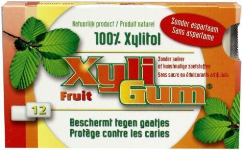 Xyligum fruit 15 gram zonder aspartaam